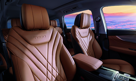 Luxurious black and brown interior